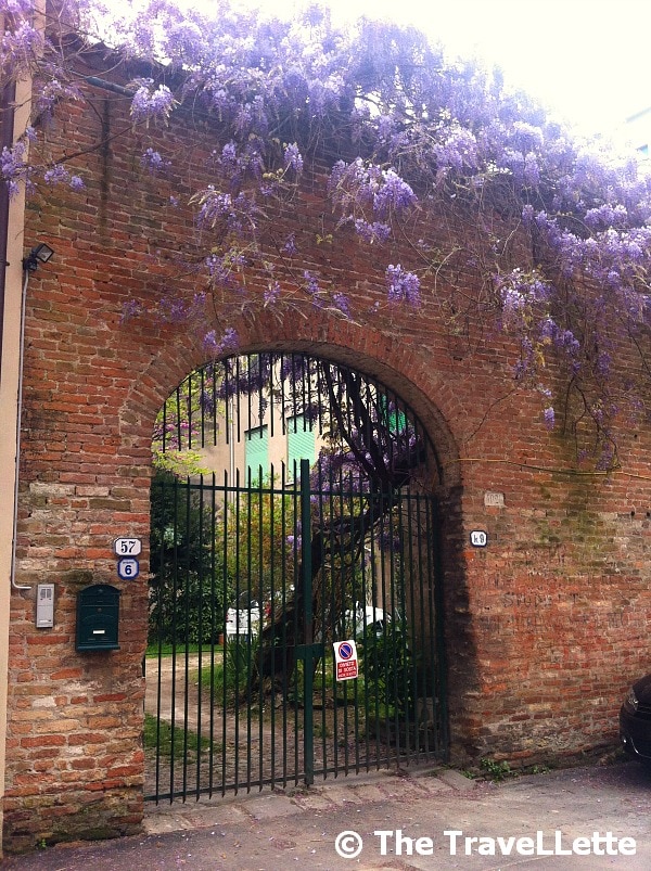 Garten Padua