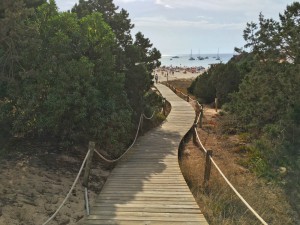 Playa Cala Saona Formentera Guide Straende