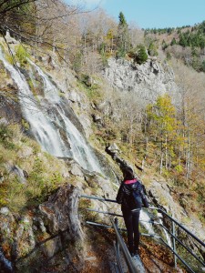 Todtnauer Wasserfälle Schwarzwald