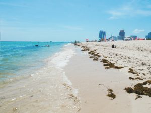 Miami-Beach-Reisetipps